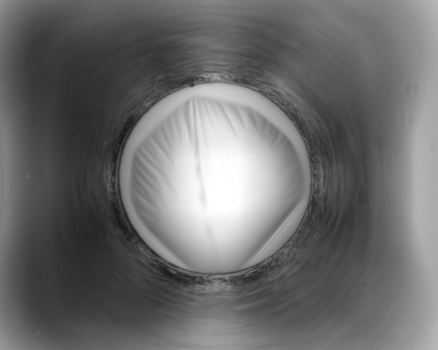 X0000088090696200706081750