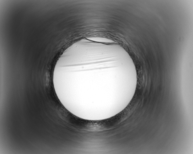 X0000088090704200706081750