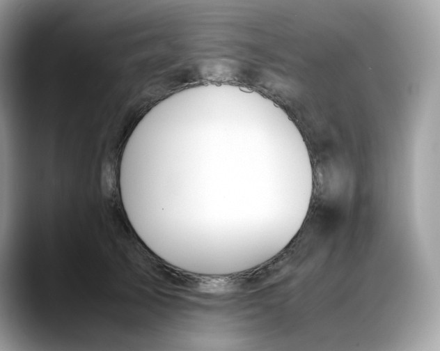 X0000088090705200706081750