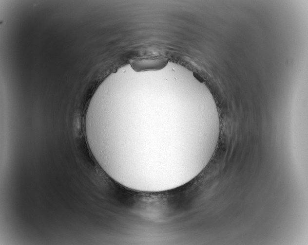 X0000088090709200706081750