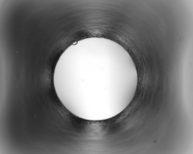 X0000088090710200706081750