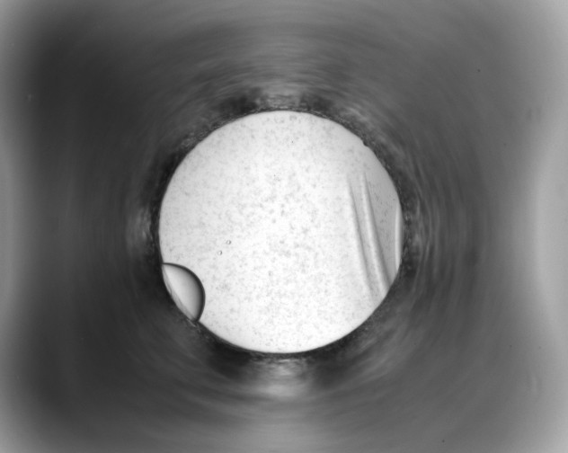 X0000088090711200706081750