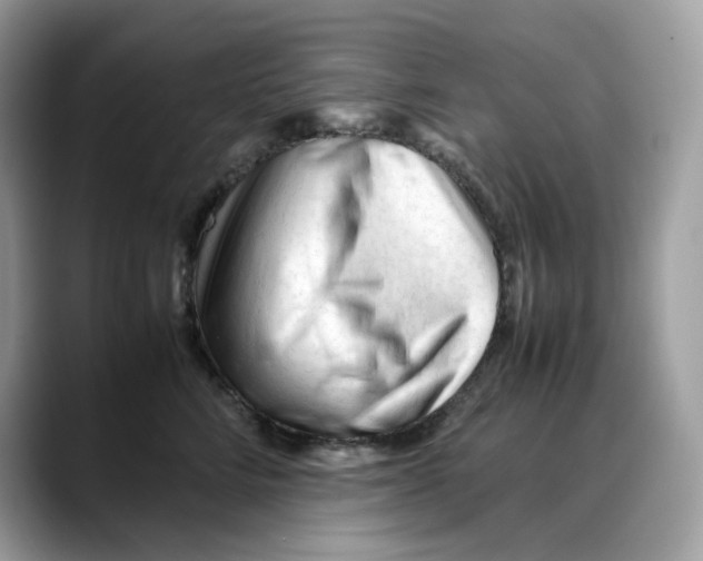 X0000088090712200706081750
