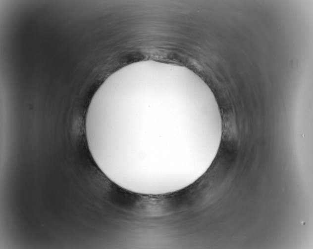 X0000088090713200706081750