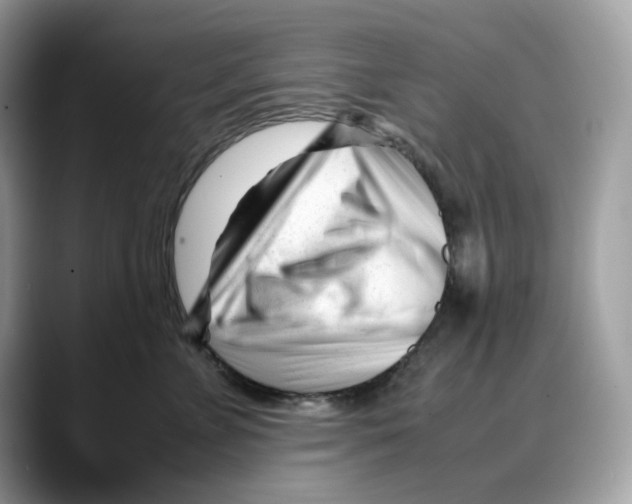 X0000088090715200706081750