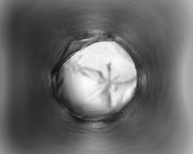 X0000088090716200706081750