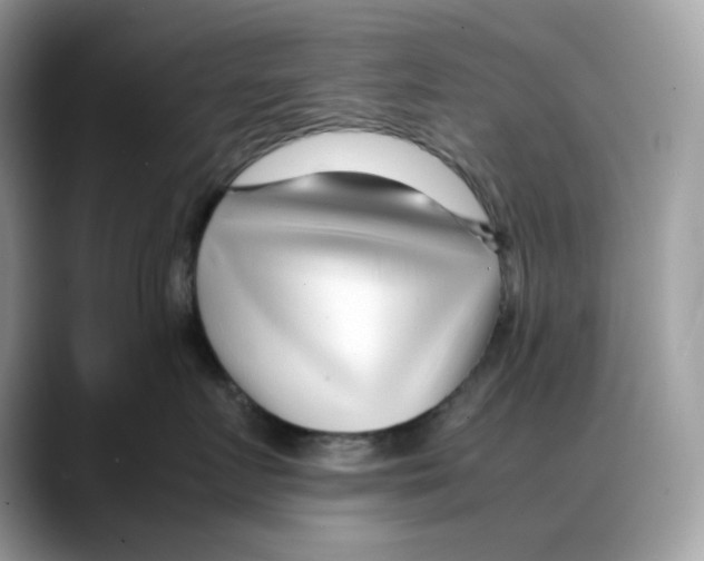X0000088090719200706081750