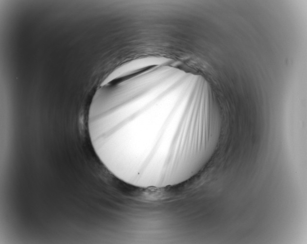 X0000088090720200706081750