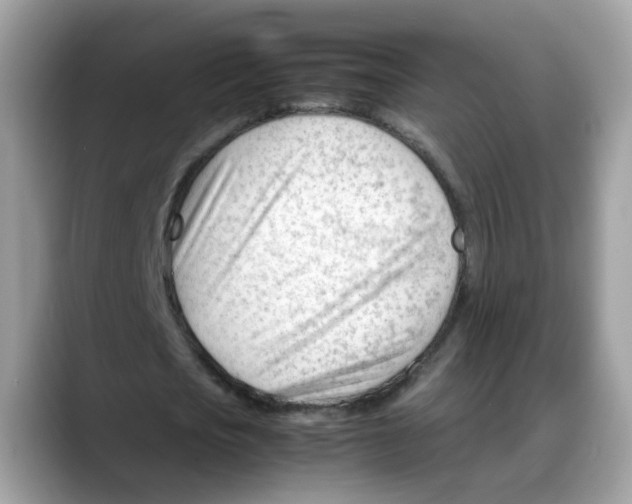 X0000088090721200706081749
