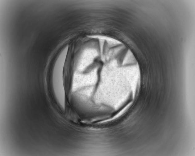 X0000088090722200706081749