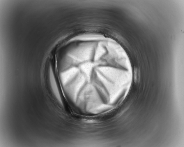 X0000088090723200706081749