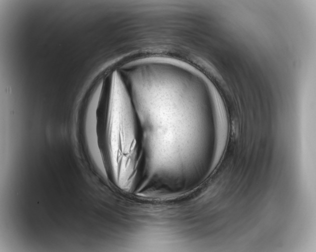 X0000088090724200706081749