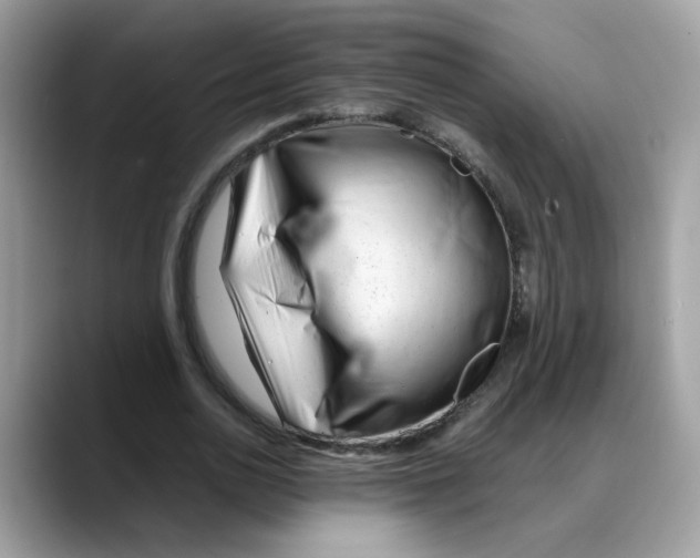 X0000088090726200706081749