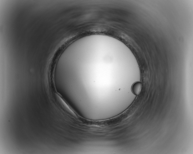 X0000088090727200706081749