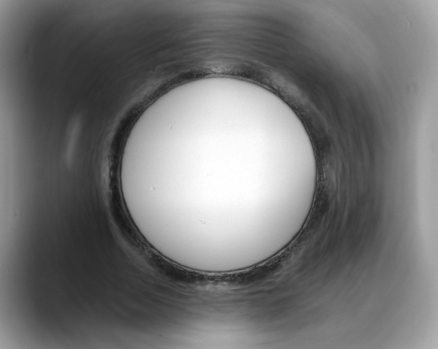 X0000088090730200706081749