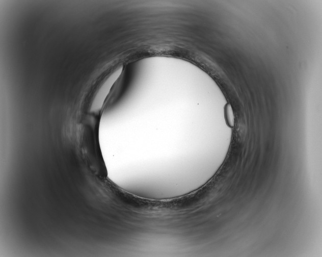 X0000088090732200706081749