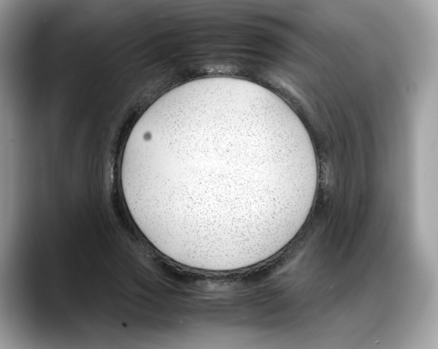 X0000088090733200706081749