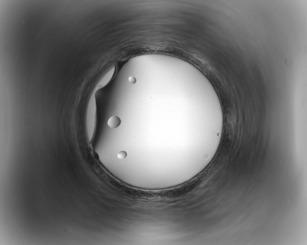 X0000088090734200706081749