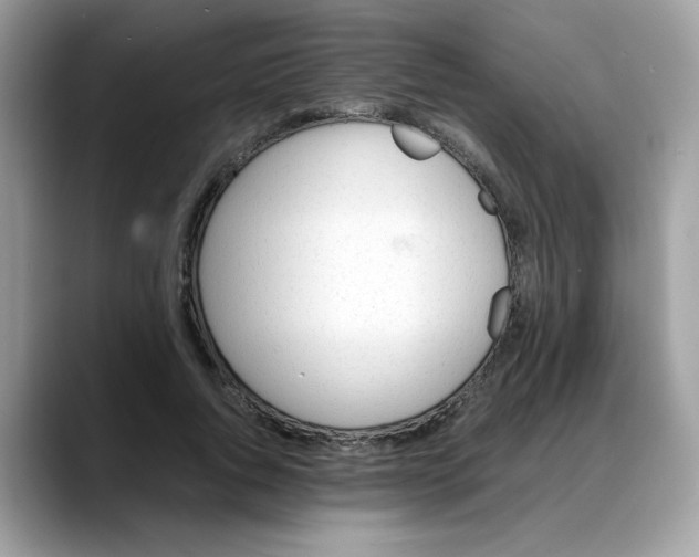 X0000088090736200706081749