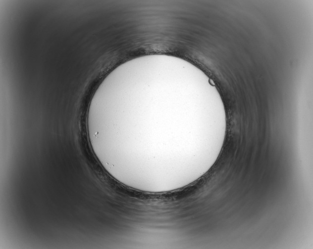 X0000088090738200706081749