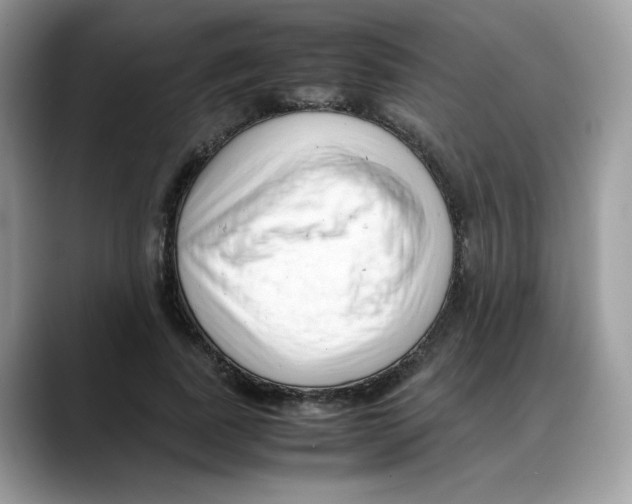 X0000088090739200706081749