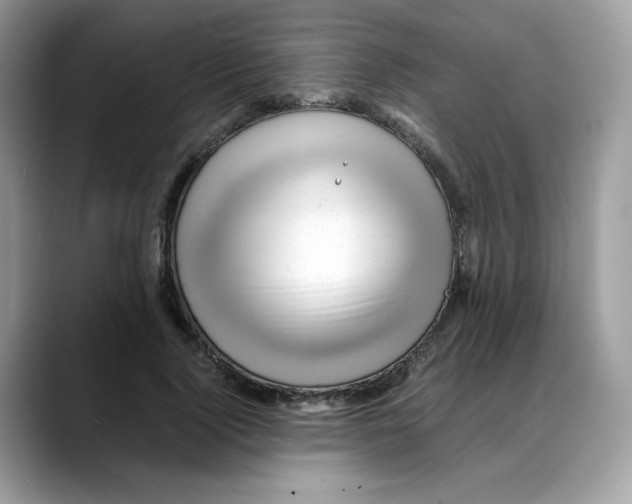 X0000088090740200706081749