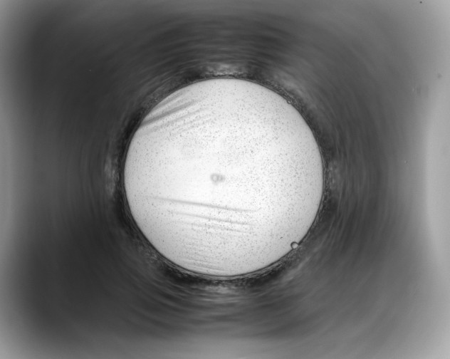 X0000088090741200706081749