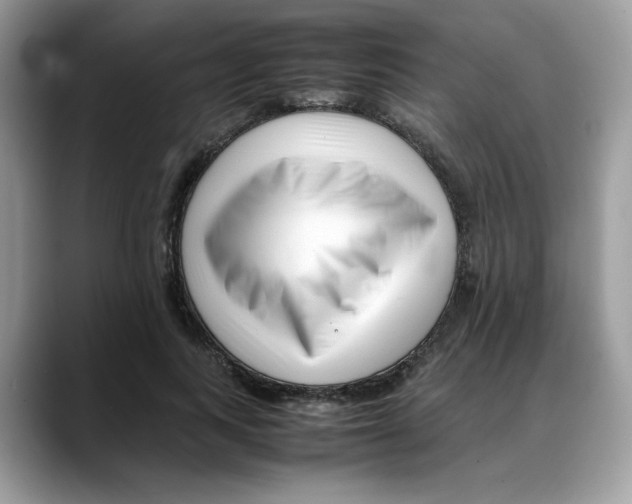 X0000088090743200706081750