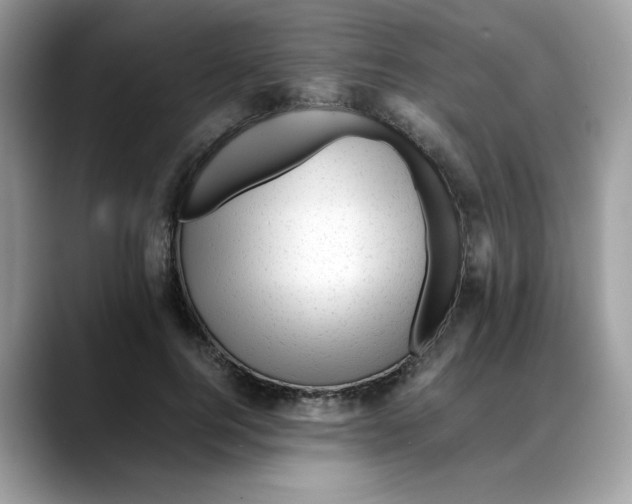 X0000088090744200706081750