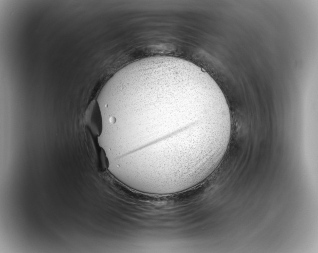 X0000088090745200706081750