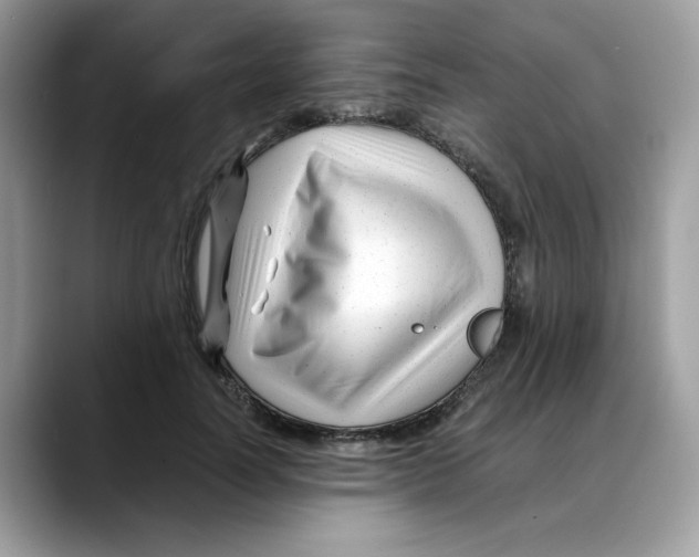 X0000088090746200706081750