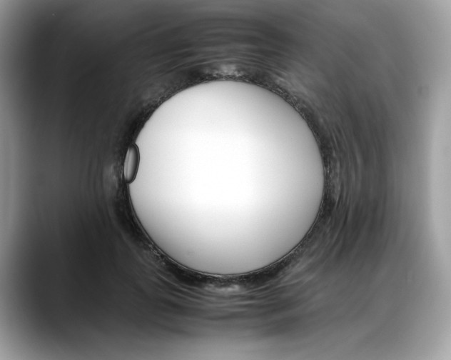 X0000088090747200706081750
