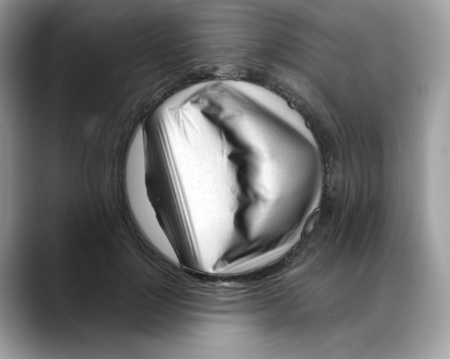 X0000088090748200706081750