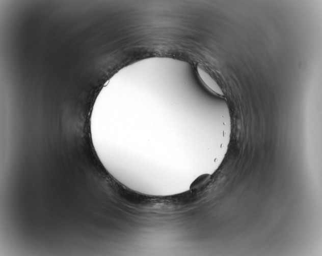 X0000088090750200706081750