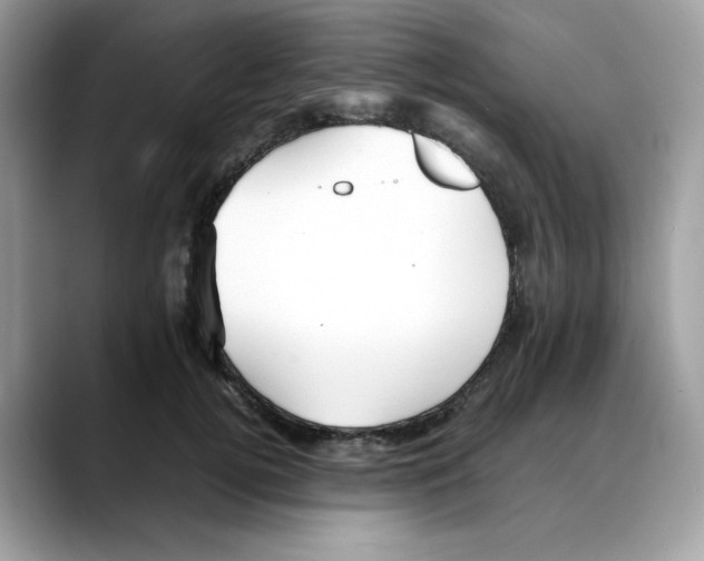 X0000088090752200706081750