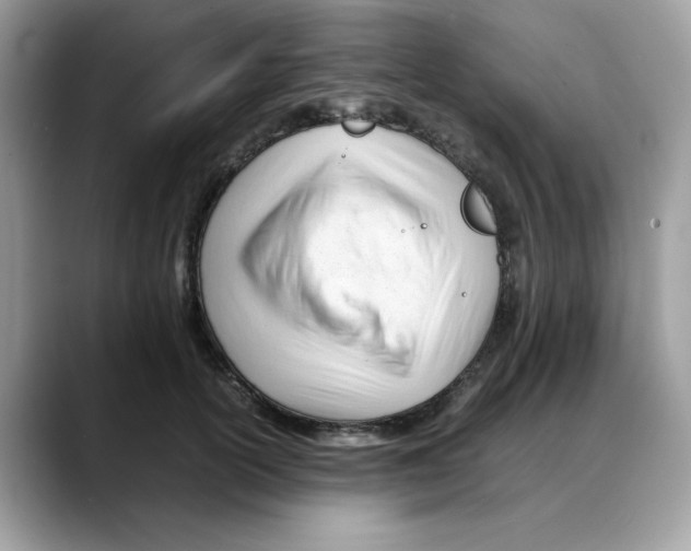 X0000088090754200706081750