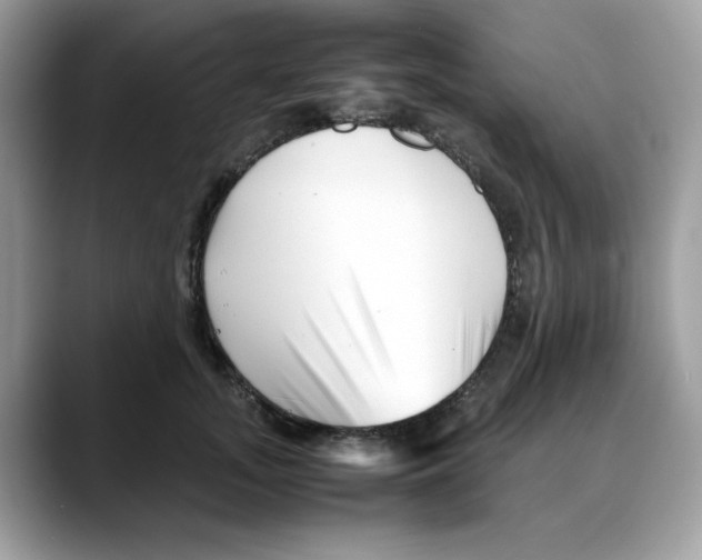 X0000088090755200706081750