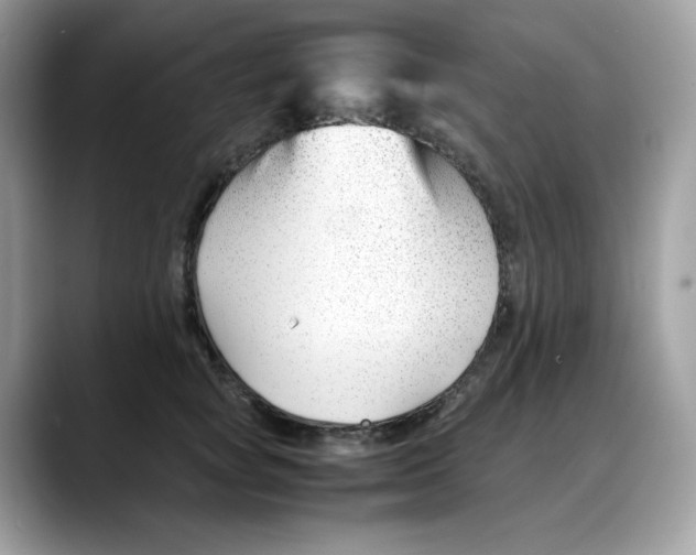 X0000088090757200706081750