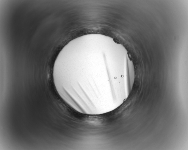 X0000088090758200706081750