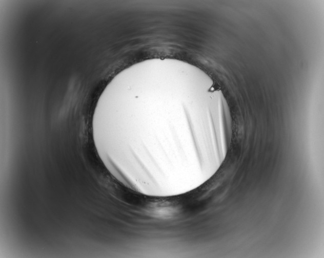 X0000088090759200706081750
