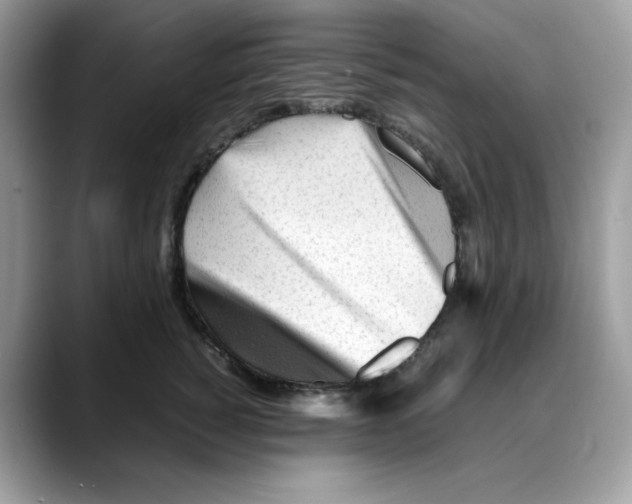 X0000088090760200706081750