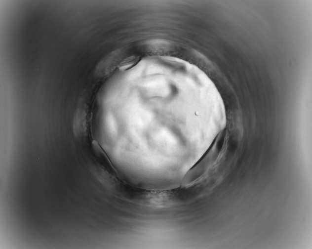 X0000088090762200706081750