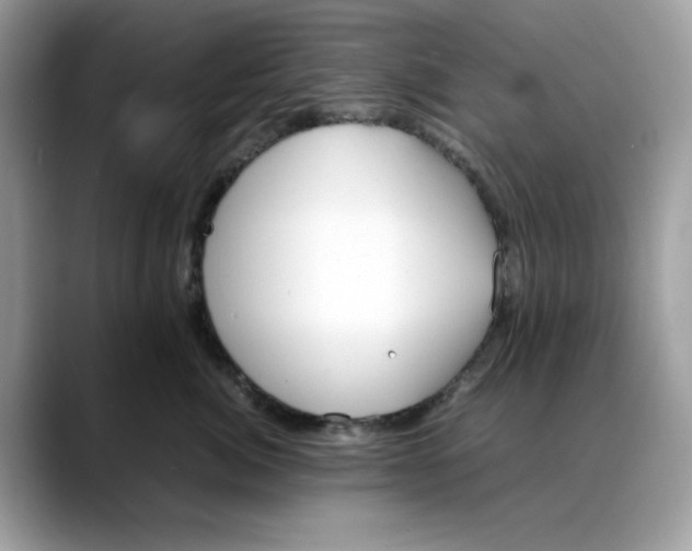X0000088090764200706081750