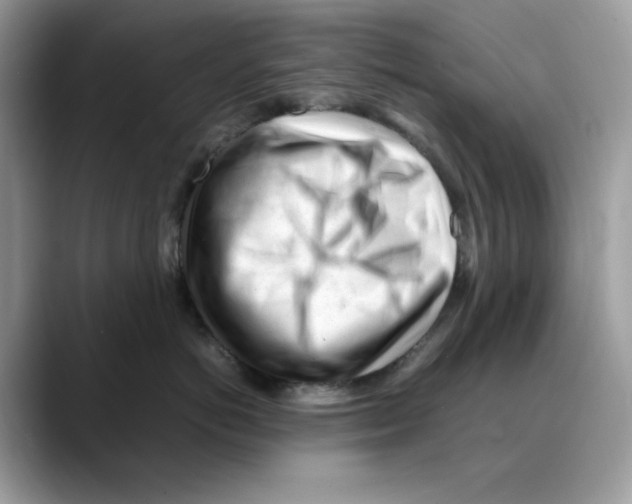 X0000088090766200706081750