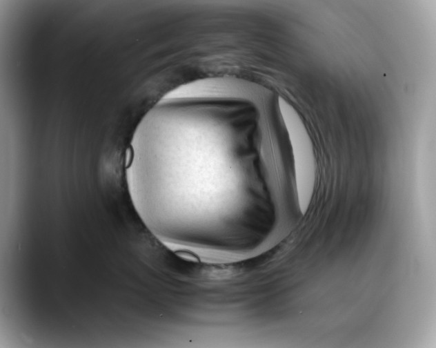 X0000088090767200706081750