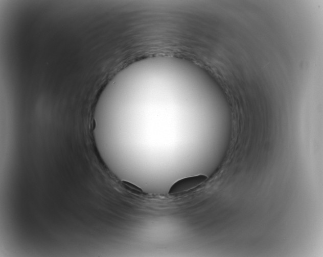 X0000088090768200706081750