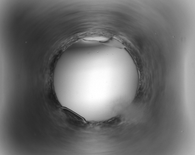 X0000088090773200706081749