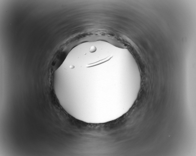X0000088090775200706081749