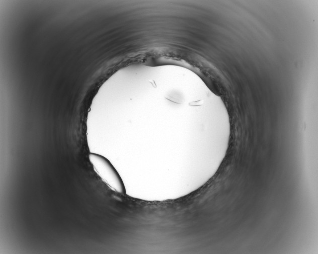 X0000088090776200706081749