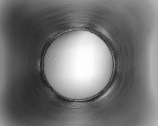 X0000088090777200706081749
